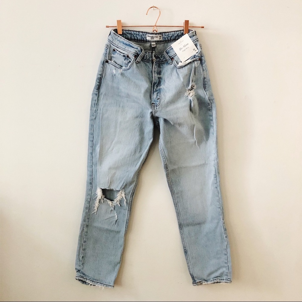NWT Abercrombie & Fitch Curve Love Mom Jeans